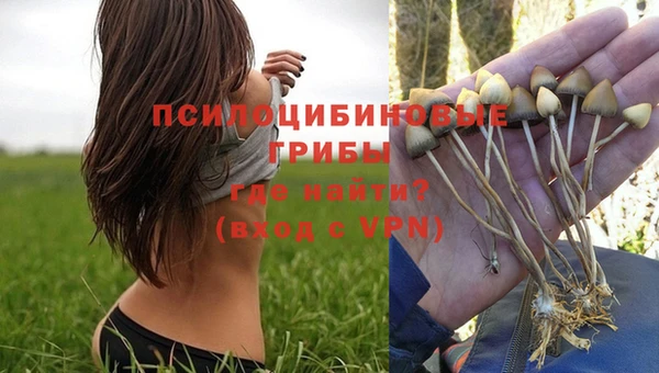а пвп мука Алзамай
